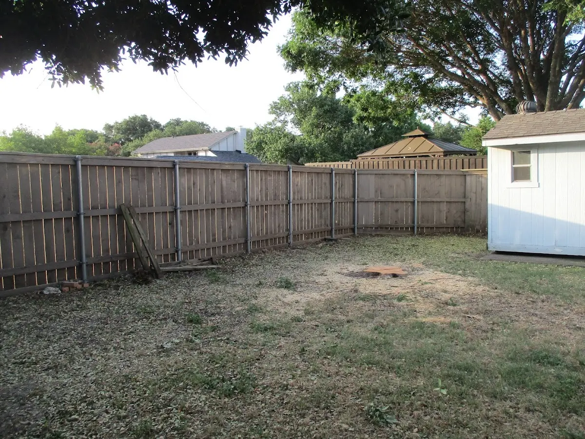 Cleared yard after professional tree removal in Jamestown